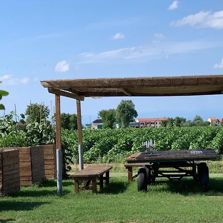 La Foresteria Di Borgogelsi Sanguinetto