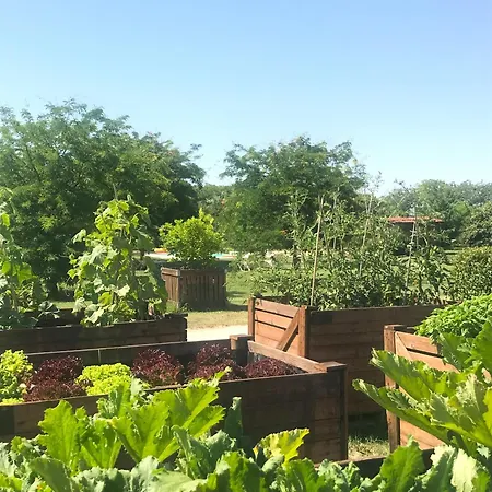 La Foresteria Di Borgogelsi *