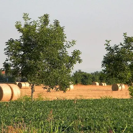 La Foresteria Di Borgogelsi